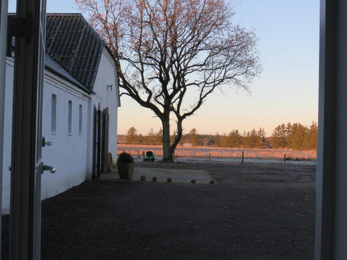 Bogelund Sleep-In Hotell Kårup Exteriör bild